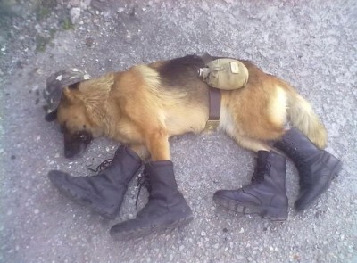 podborko.jpg