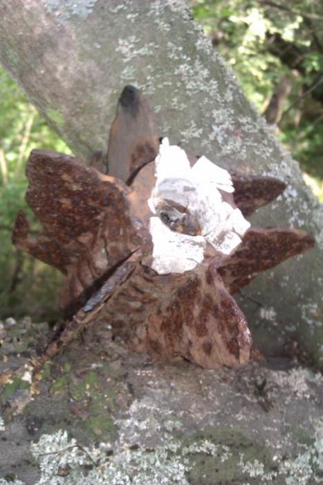 IMAG0757.jpg