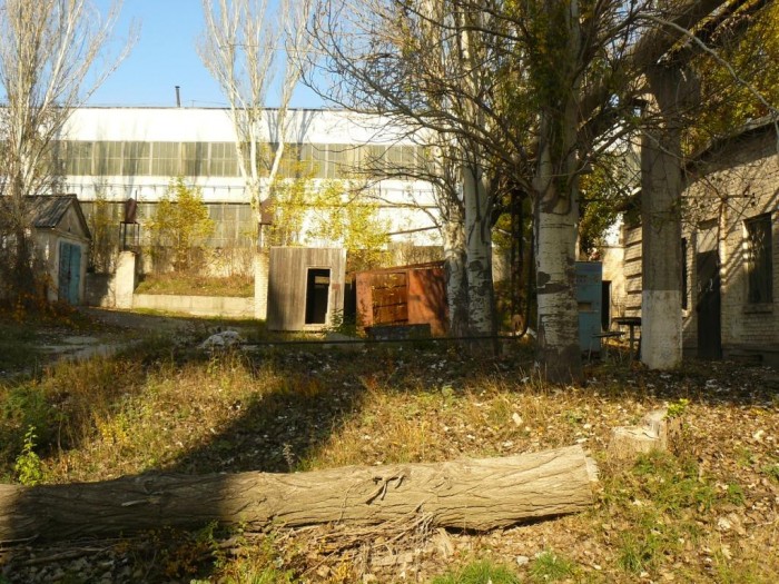 P1090932.JPG