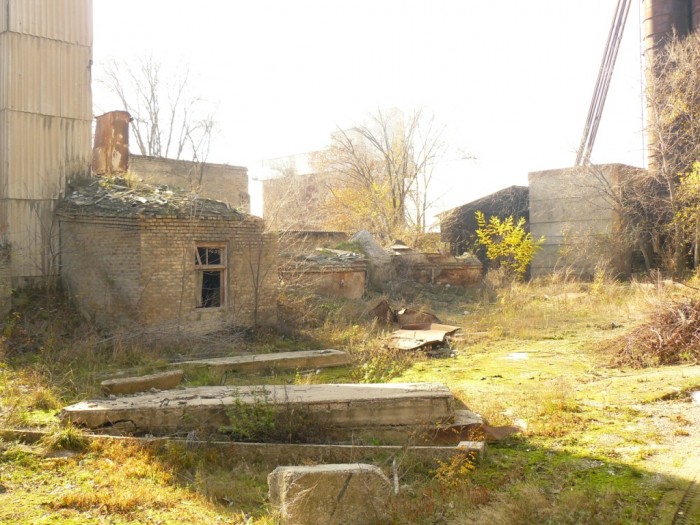 P1090944.JPG